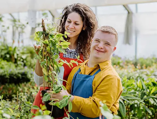 Gardening